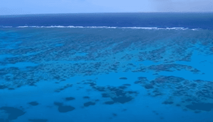 la barriera corallina australiana